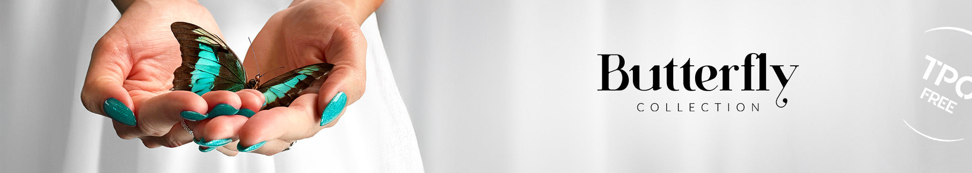 Butterfly Collection