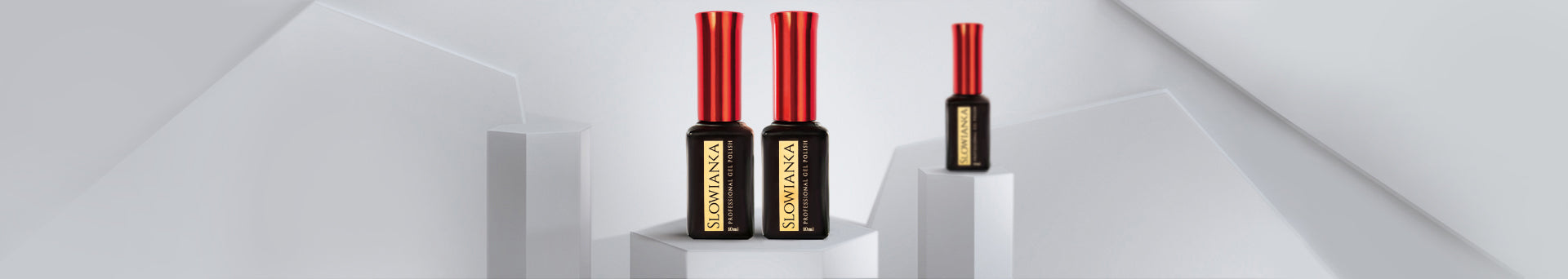 Midnight Sway Christmas Edition