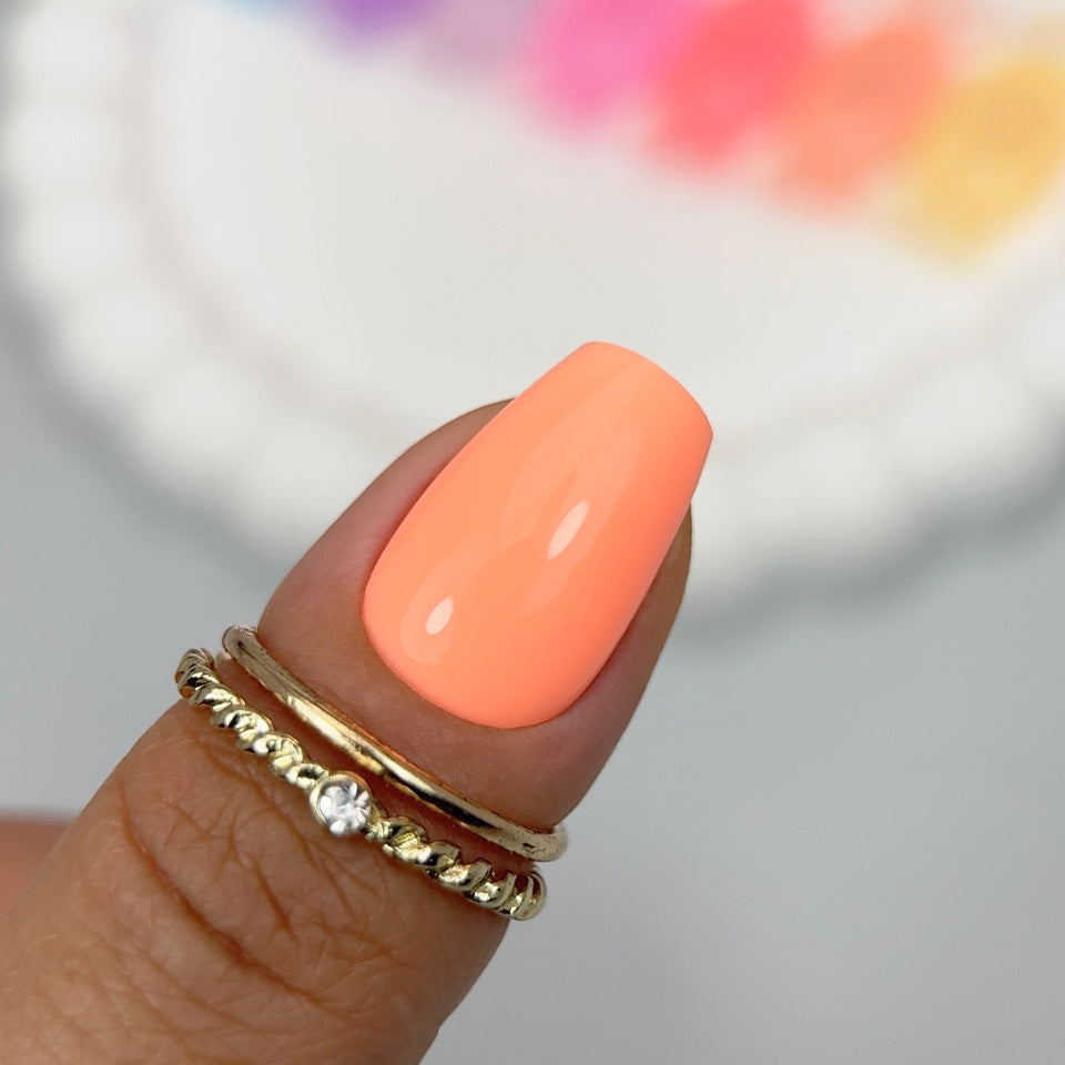 Set Pastel Muffin Base 6+1 GRATIS