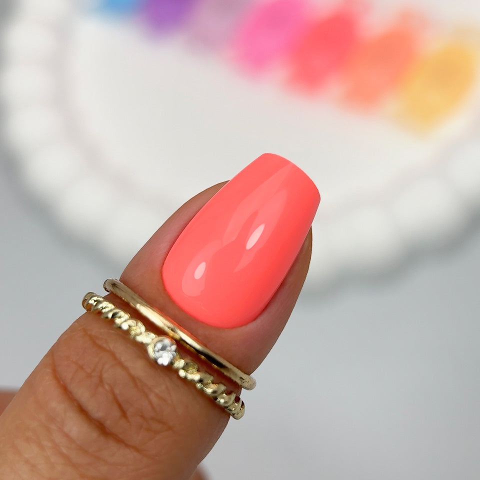 Set Pastel Muffin Base 6+1 GRATIS