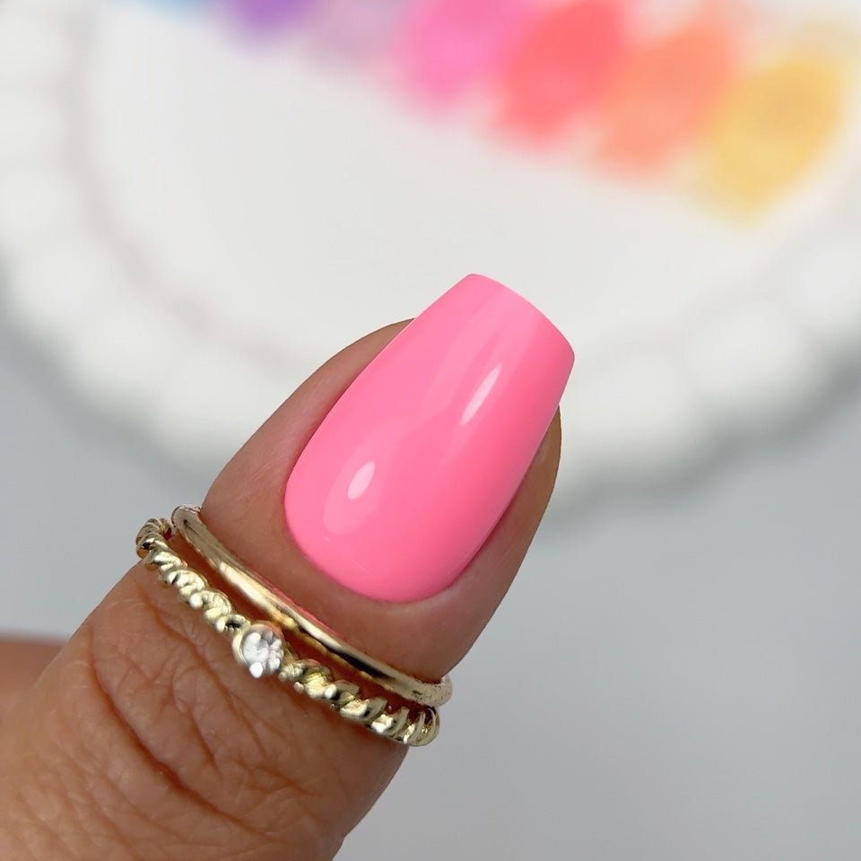 Set Pastel Muffin Base 6+1 GRATIS
