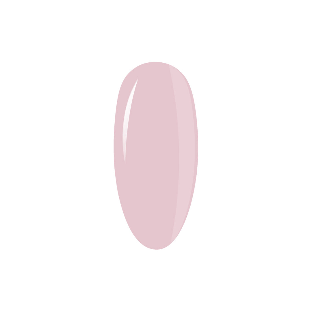 Collection Box LipGloss Esthetic