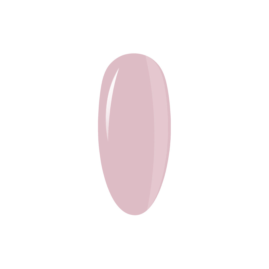 Collection Box LipGloss Esthetic