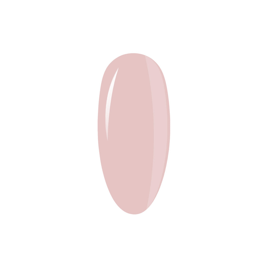 Collection Box LipGloss Esthetic