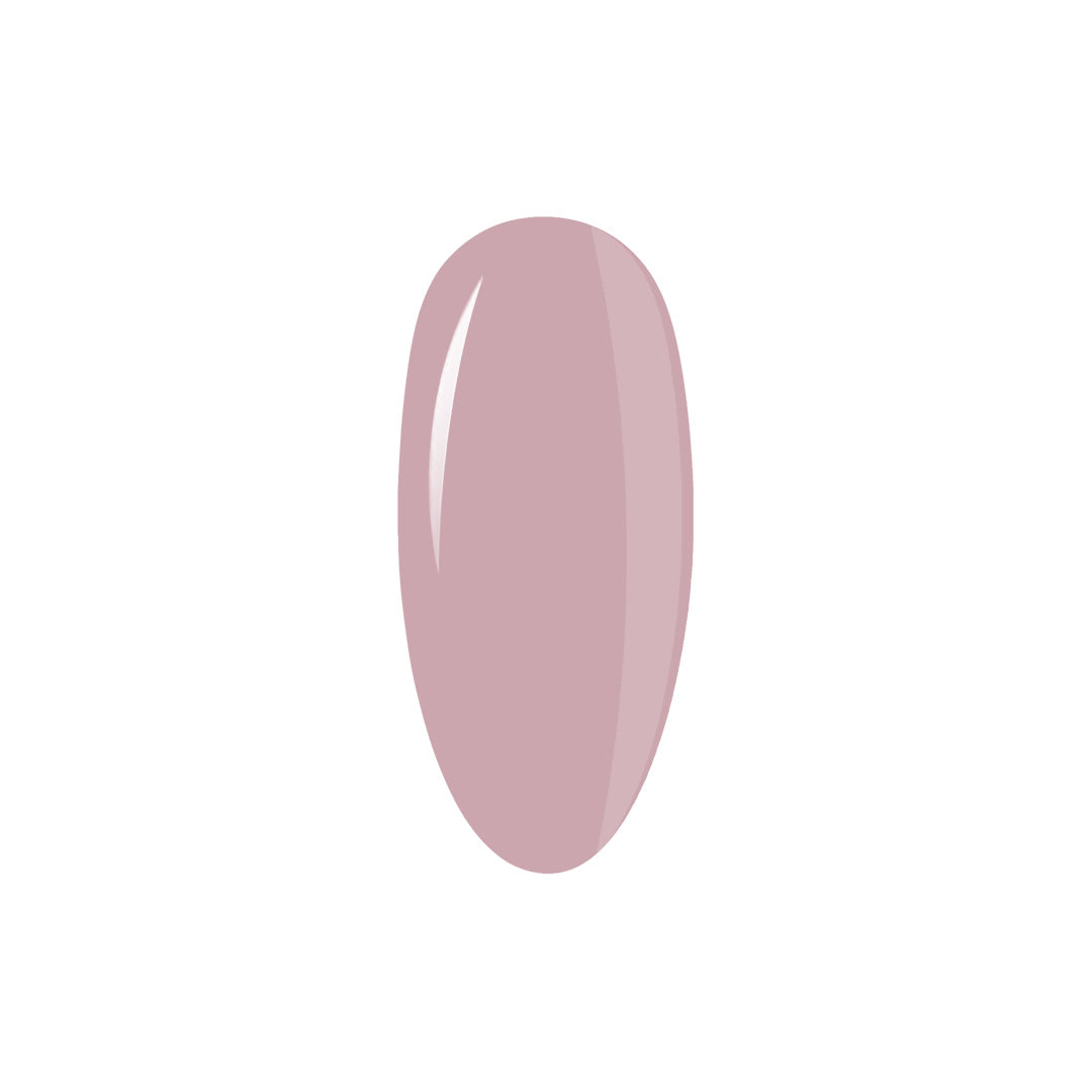 Collection Box LipGloss Esthetic