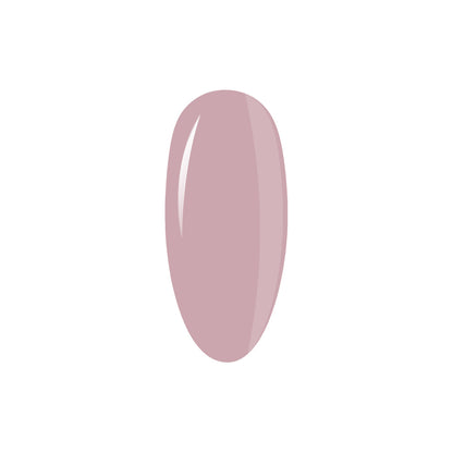 Collection Box LipGloss Esthetic