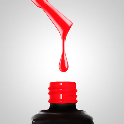 Bikini Party 3 Collection Box