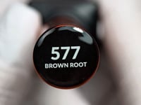 577 Brown Root gel polish 10g
