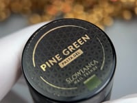 Pasta Gel - Pine Green 3g