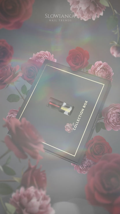 Wonderland 2 BOX