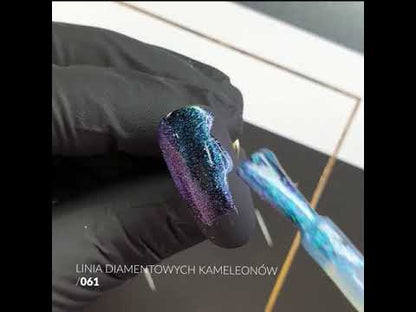 61 gel polish 10g