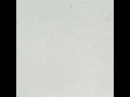 Fiber Builder Gel easy leveling Brown Cover in a bottle 10g