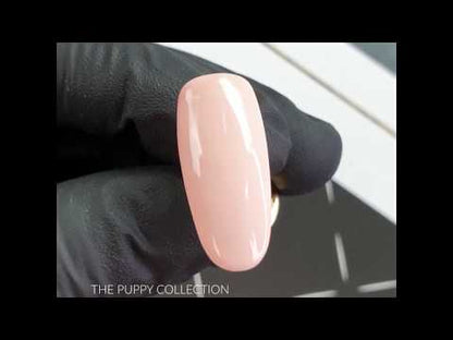 142 Moli Gel polish 10g