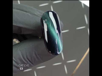CAT EYE 13 gel polish 10g