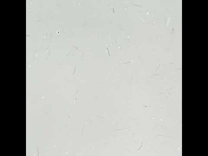 Fiber Builder Gel Easy leveling Ivory Beige in a bottle 10g