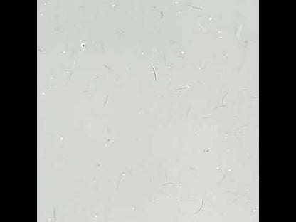 Fiber Builder Gel easy leveling Pale Skin in a bottle 10g