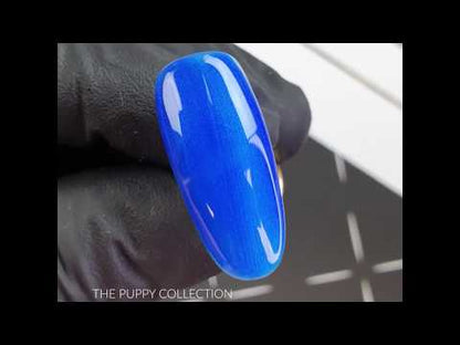 141 Aron Gel polish 10g